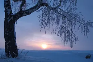 0_f7ff9_c8211310_XL.webp