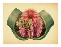 16bc2b63ef5fb1f294edf3549921459d--collage-art-illustration-art.webp
