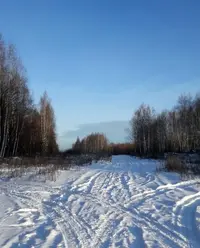 33b367b2-7c4f-467.webp