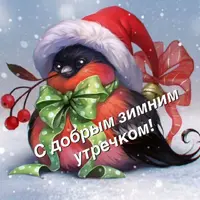 24086514.webp