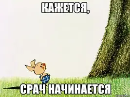 Srach_20189667_orig_.webp