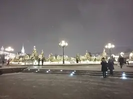 15452287066221511501758.webp