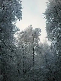 tmp-cam-209234062.webp