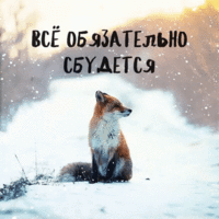 IMG_20181223_224500_3.gif