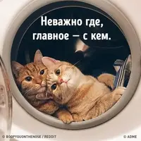 IMG-20181216-WA0012.webp