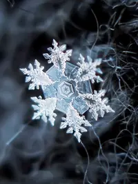 6895872661_4fc4ac0c28_b.webp