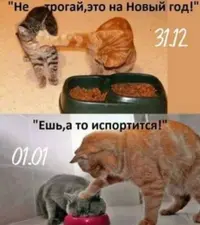 BnlFcCp5HMY.webp