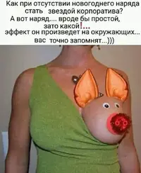 FB_IMG_1544939865990.webp