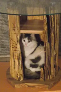DSCF2860.webp