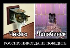 getImage (8).webp