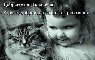 7WL6IPuuucE.webp