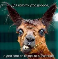 ha-AbJ0TX9I.webp