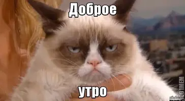1386387973_1033418981.webp