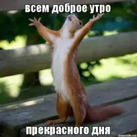 stfw3z.webp