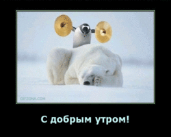 be938e04669b.gif