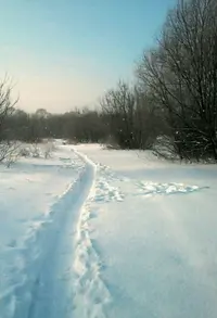 tmp-cam-1376959098.webp