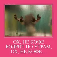 2802131359273812.webp