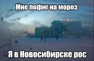 image.webp