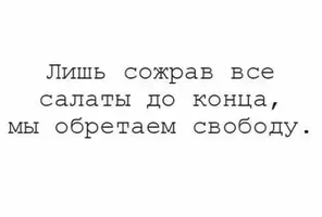 498F9A88-1D76-4384-AF75-F91867EDE1DD.webp