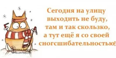 1359809105_1359702254_d421025cb0bc.webp