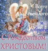 IMG-da6db9e0cd21f4b8aab1d22c5c834760-V.webp