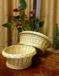 IMG_20190107_194538.webp