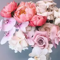 _jFcsWtUwKE.webp