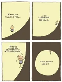 Жизнь.webp