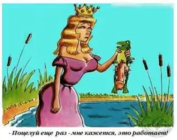 5.webp