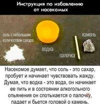 171AC826-BEFC-4858-9EE2-97A8CF2C7580.webp