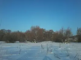 tmp-cam-752625368.webp