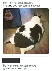 nEbQpESD9wQ.webp