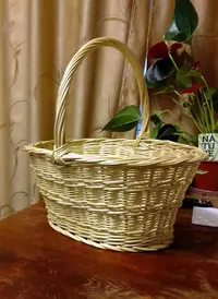 IMG_20190115_095637.webp