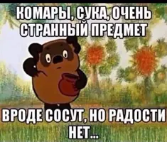 7543335.webp