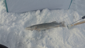 IMG_20190119_144452_1024x575.webp