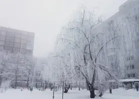 20190122_080454-2873x2055.webp