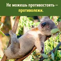 3.webp