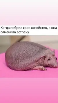 Screenshot_20190130-111930.webp