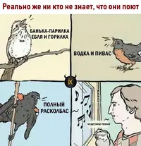 65423718974.webp