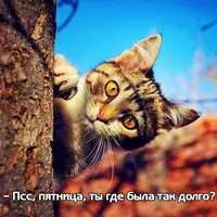 CAhdEQEUIAAhXSj.webp