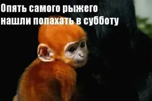 700E07C9-C937-4BA1-9B36-2E752991E373.webp