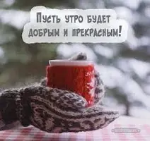 images (16).webp