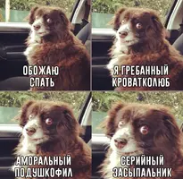KlE458o_Umw.webp