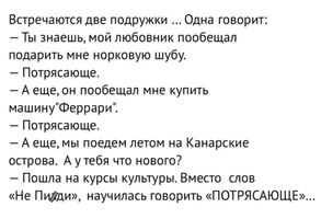 1D0ED3C6-8B02-428A-9080-4E472C15667A.webp