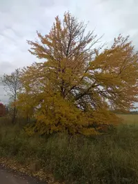 IMG_20171010_123845-2340x3120.webp
