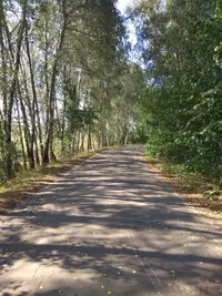 IMG_20180922_105147-2340x3120.webp