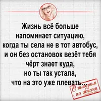 C9157D49-26B6-4415-B1BE-2A8812B9AFE5.webp