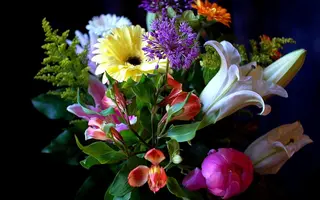 ykcS08dkUwI.webp