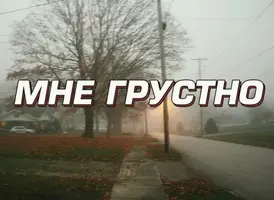 57e7b9bf68198157612d93c2.webp
