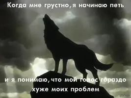 1416383574_930994134.webp